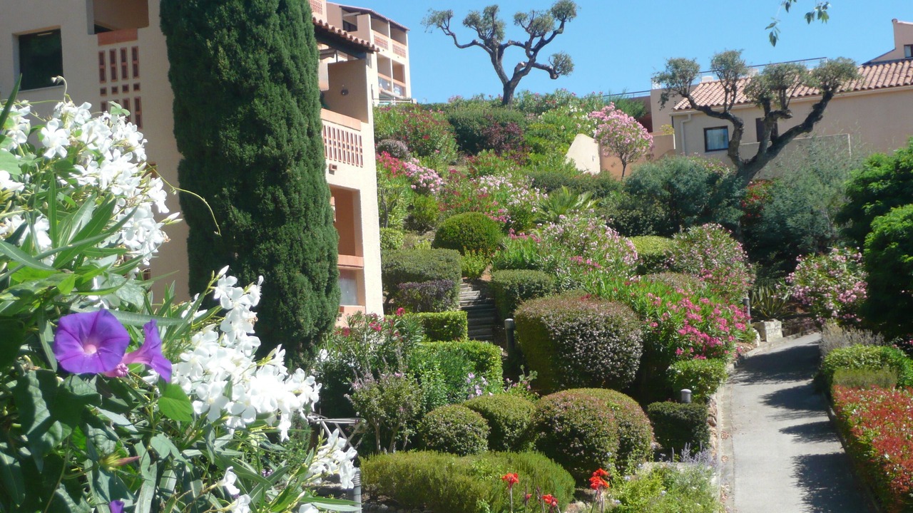 Photo of Outdoor in La Croix-Valmer