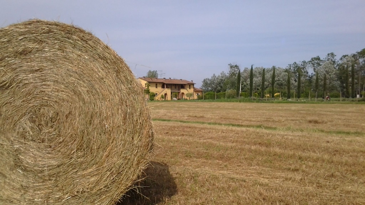 Photo of Others in Latignano