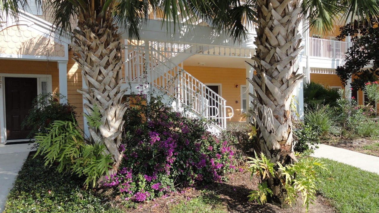 Photo of Others in Bahama Bay