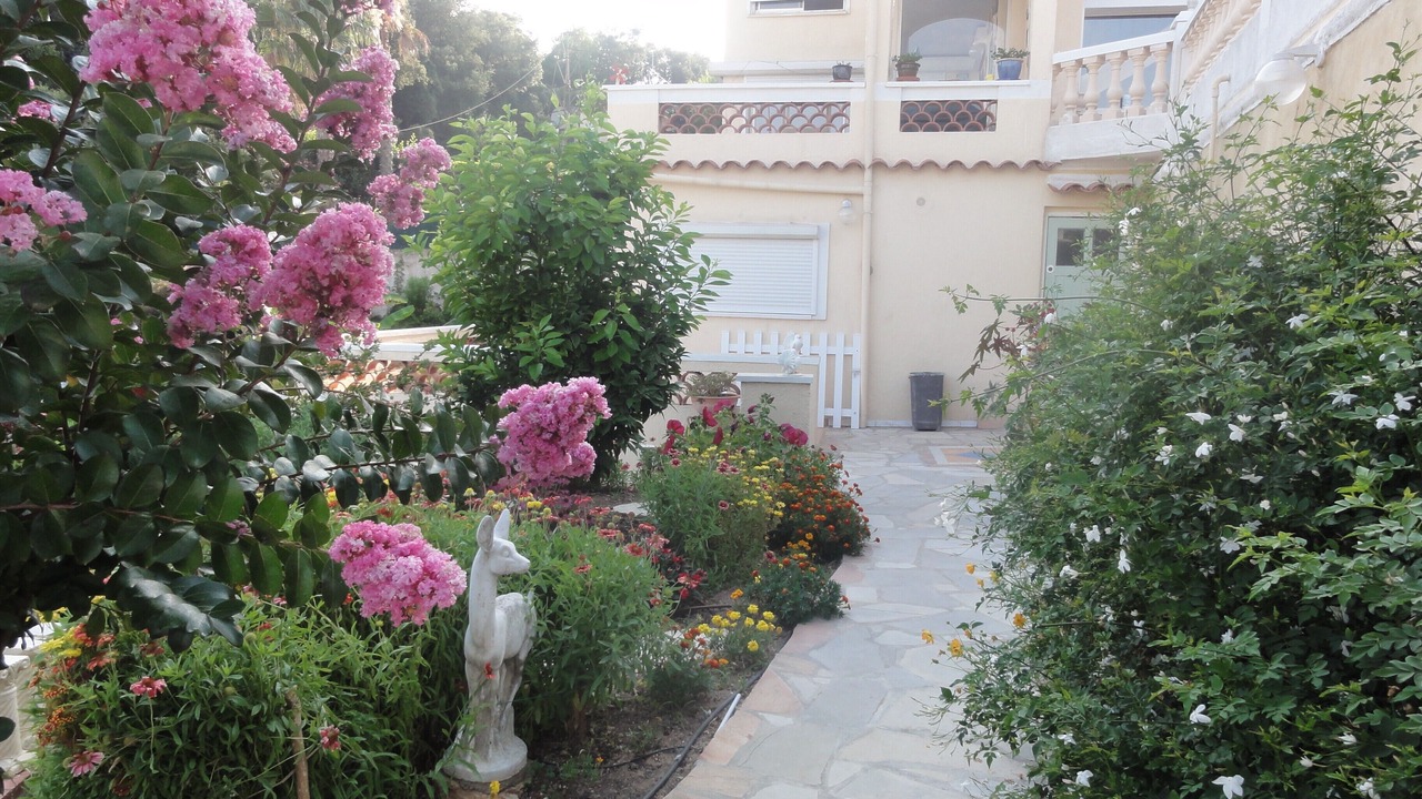 Photo of Outdoor in Les Termes
