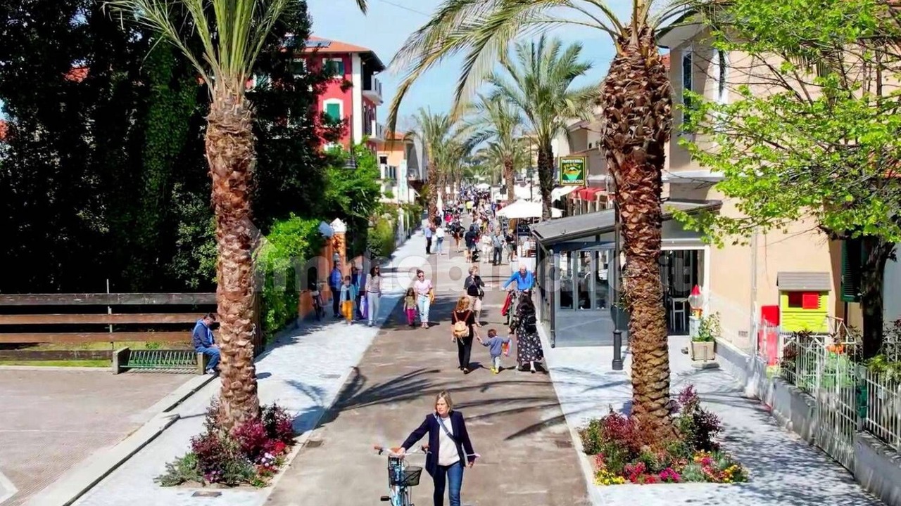 Photo of Outdoor in Cinquale