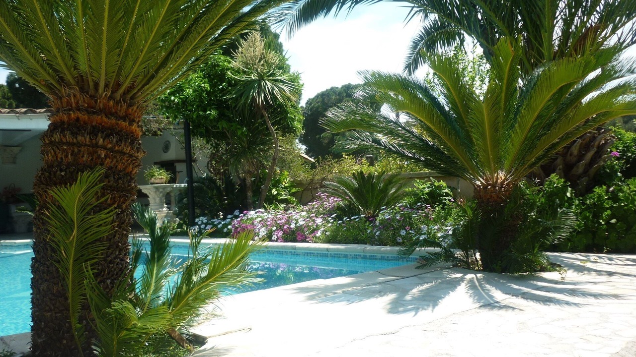 Photo of Outdoor in Plage de la Garonnette