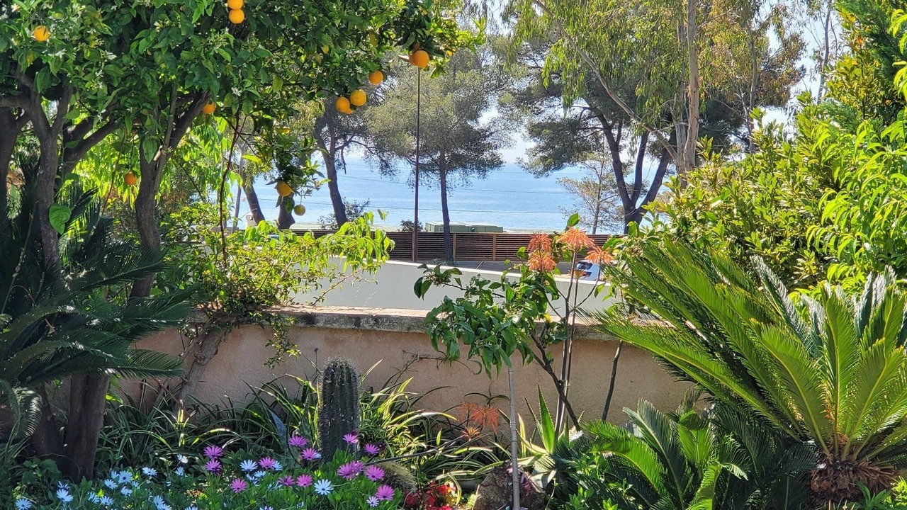 Photo of Outdoor in Plage de la Garonnette