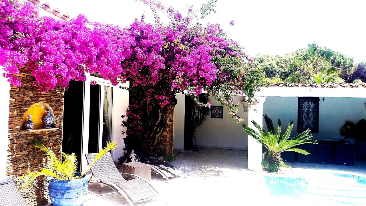 Photo of Patio Balcony in Plage de la Garonnette