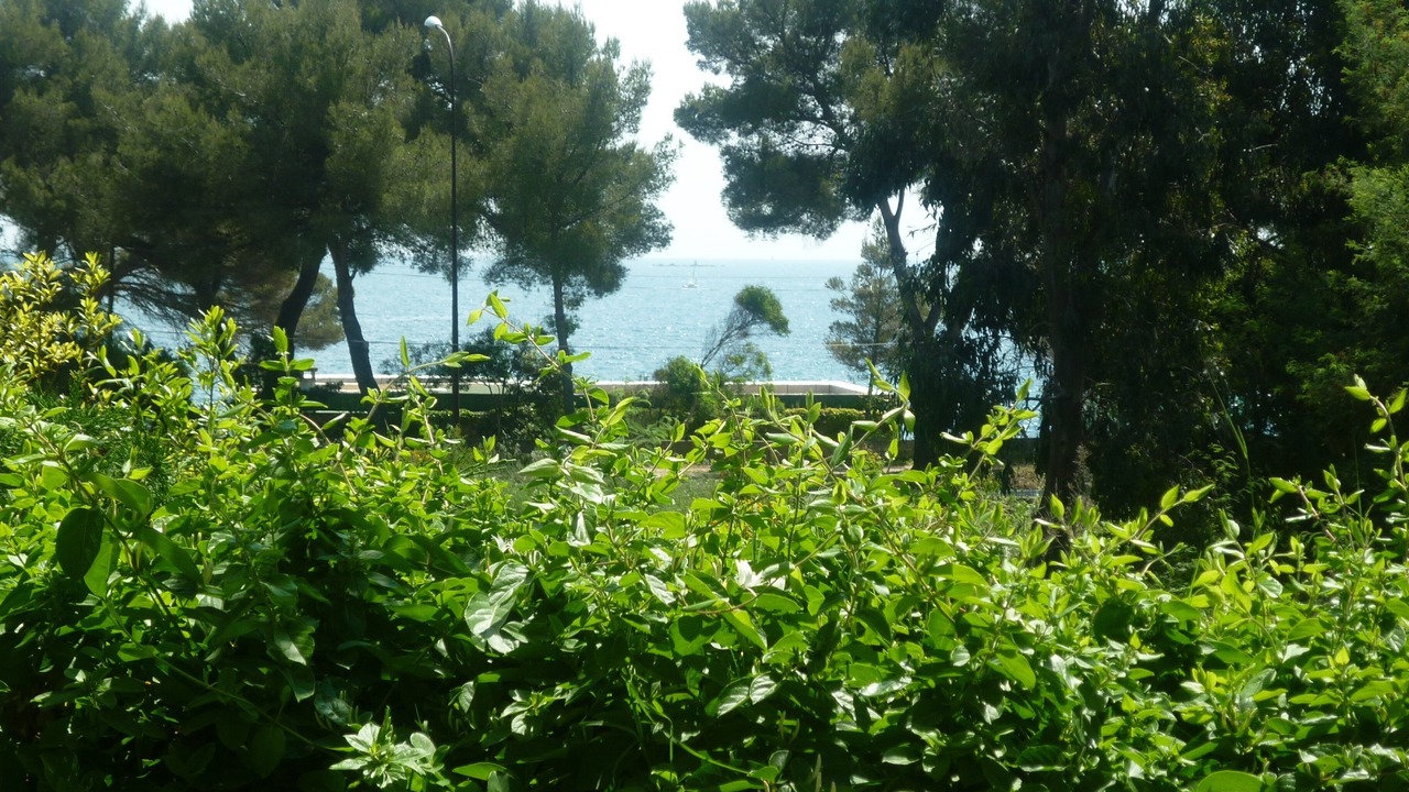 Photo of Outdoor in Plage de la Garonnette