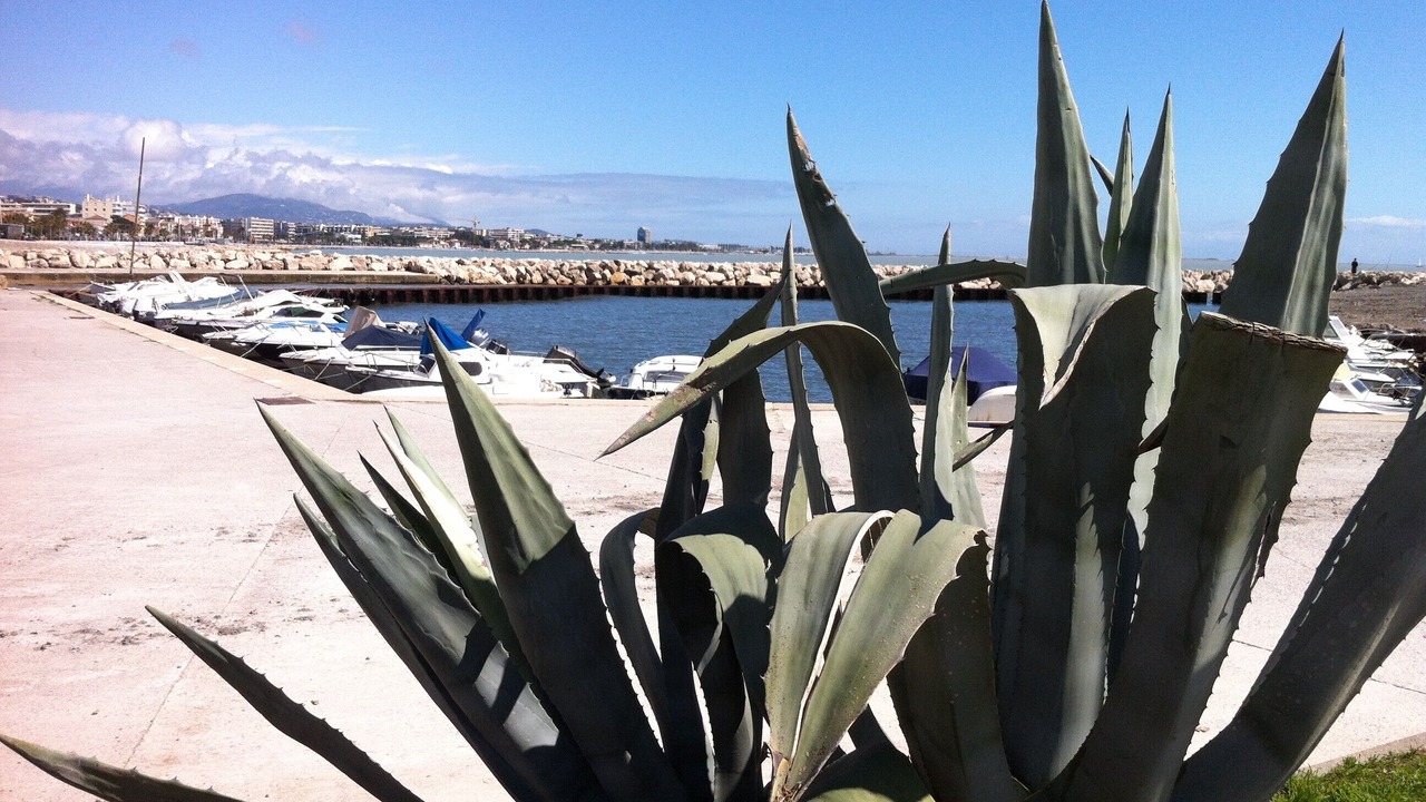 Photo of Outdoor in Cros-de-Cagnes