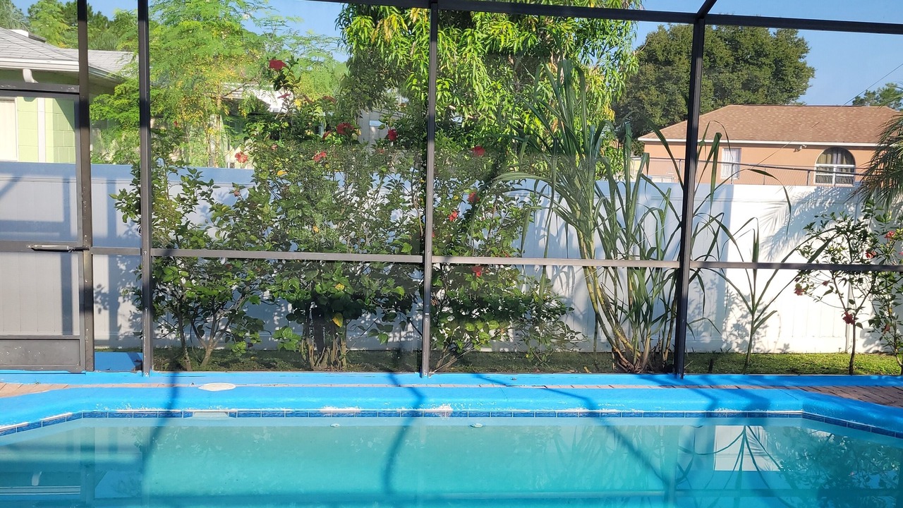 Photo of Outdoor in Poinciana
