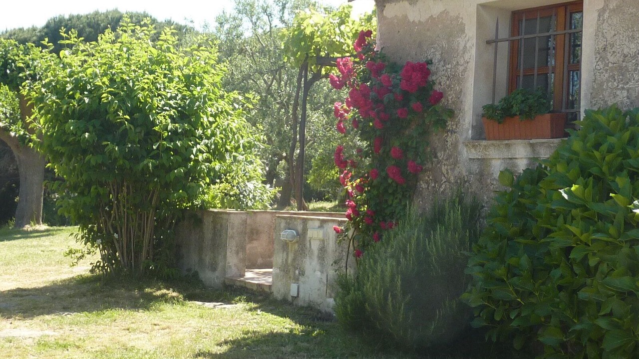 Photo of Outdoor in Ramatuelle