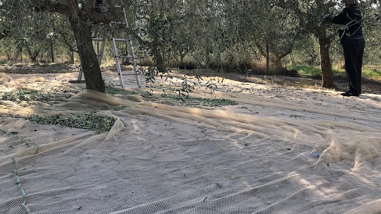 Photo of Others in Castiglione della Pescaia