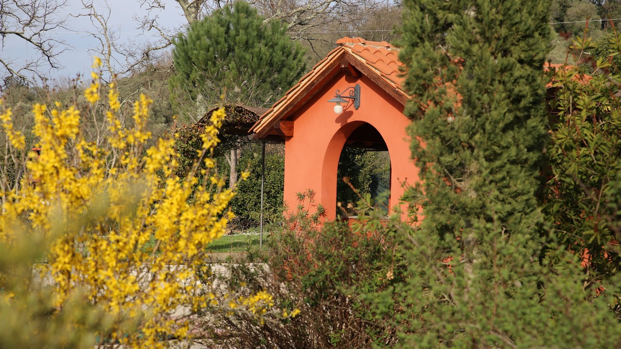 Photo of Outdoor in Castiglione della Pescaia