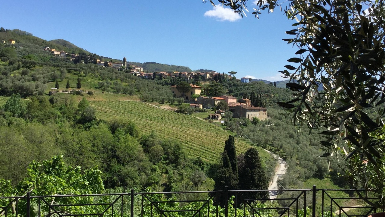 Photo of Outdoor in Capannori