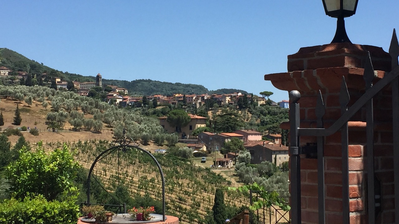 Photo of Outdoor in Capannori