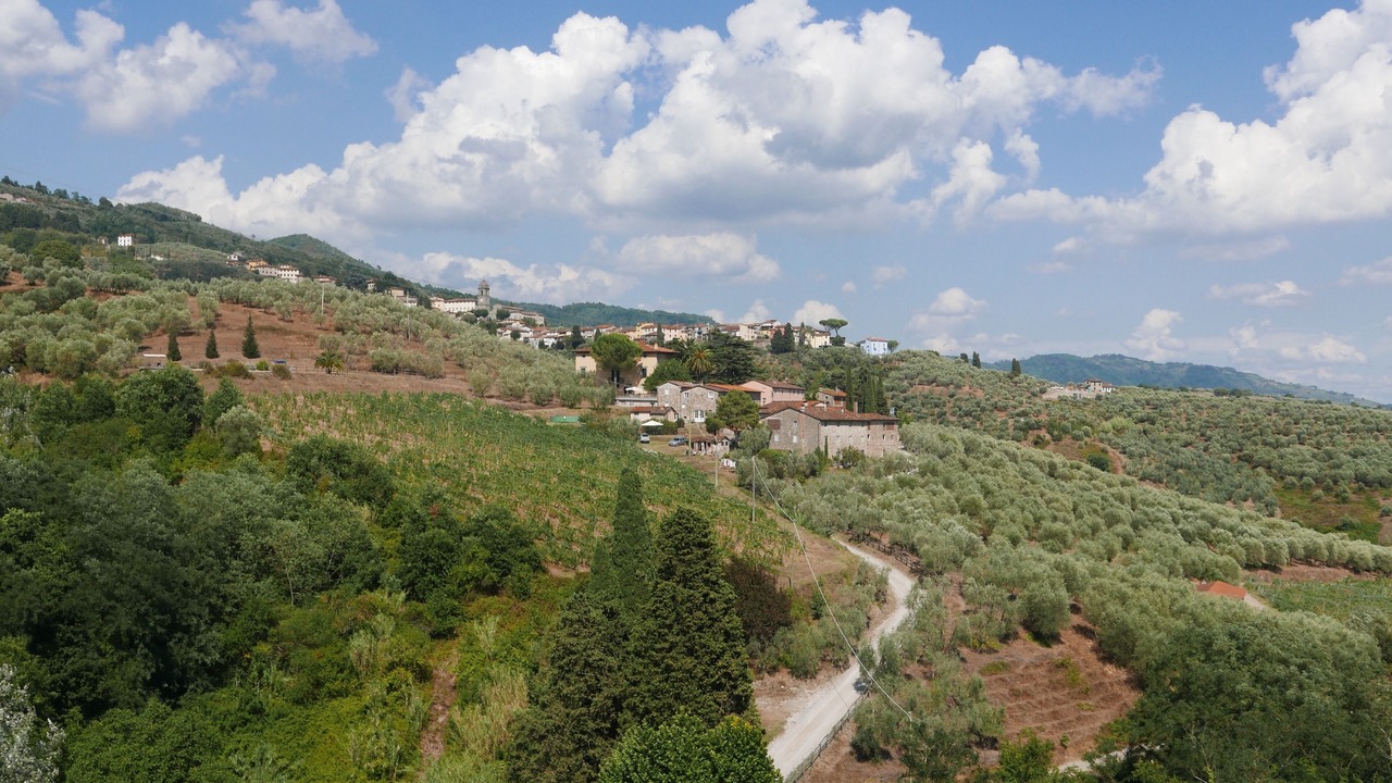 Photo of Others in Capannori