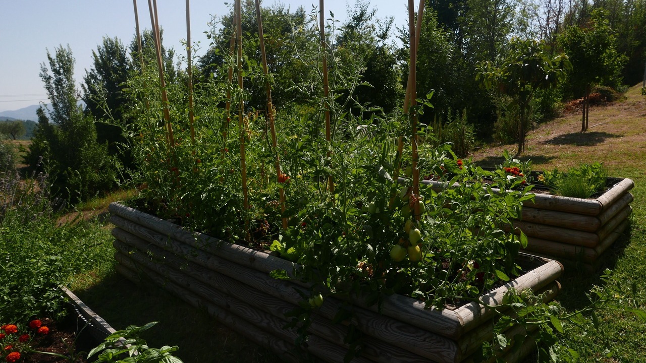 Photo of Outdoor in Capannori