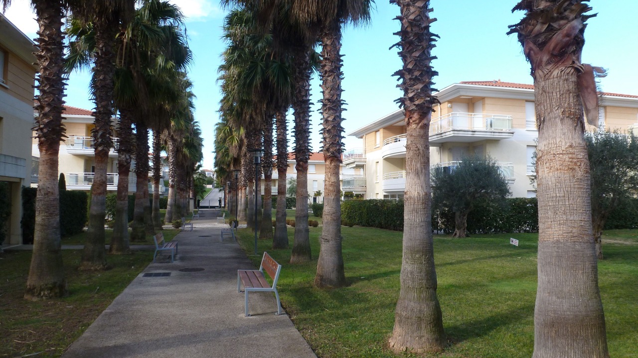 Photo of Outdoor in Plaine de la Brague