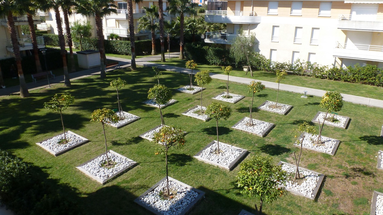 Photo of Outdoor in Plaine de la Brague