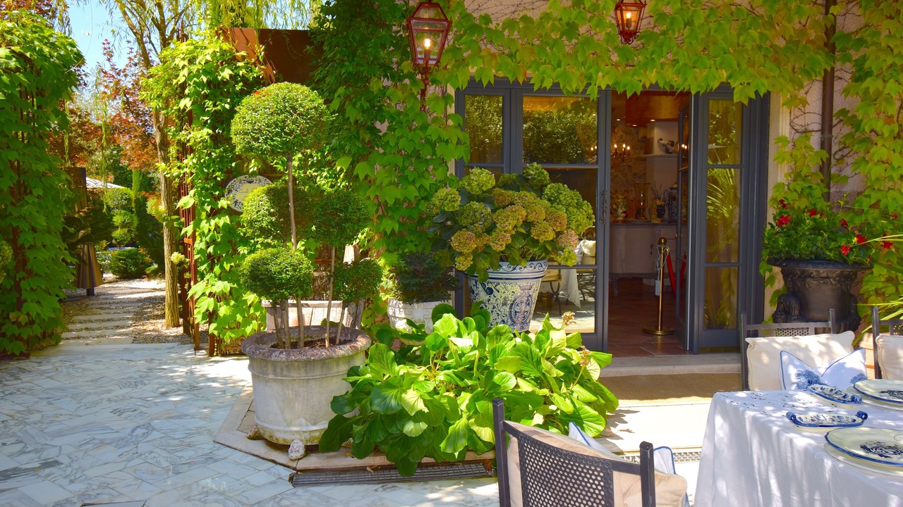 Photo of Outdoor in Camaiore