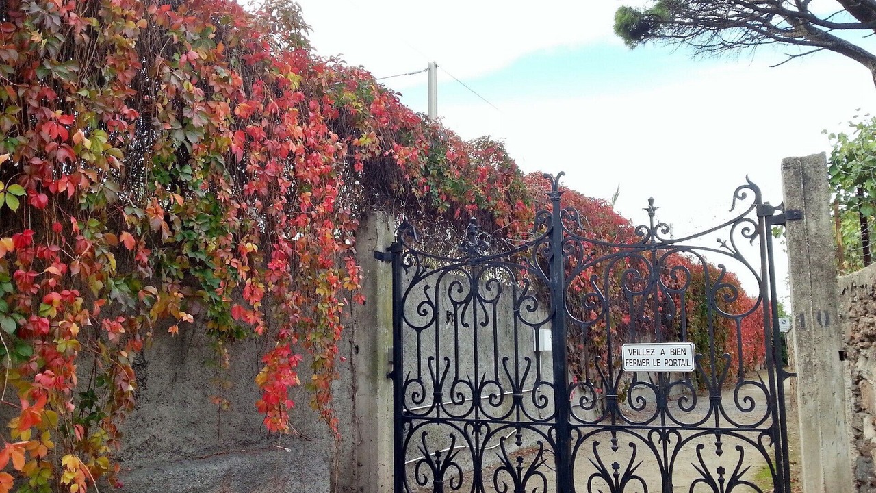 Photo of Outdoor in La Croix des Gardes