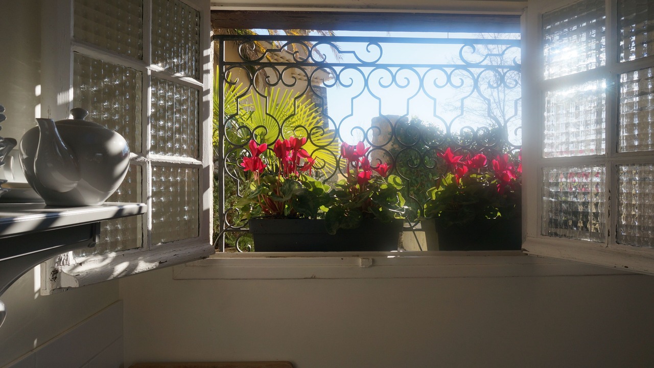 Photo of Others in Saint-Paul-de-Vence