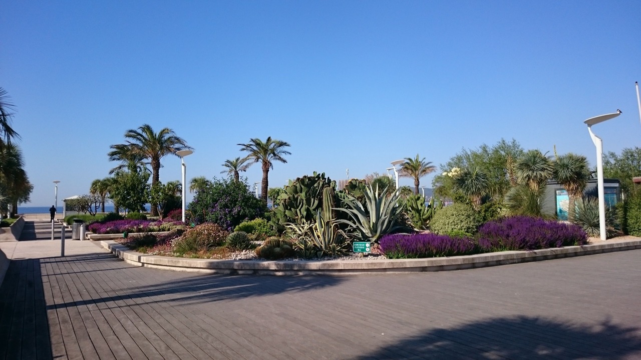 Photo of Outdoor in Saint-Raphael