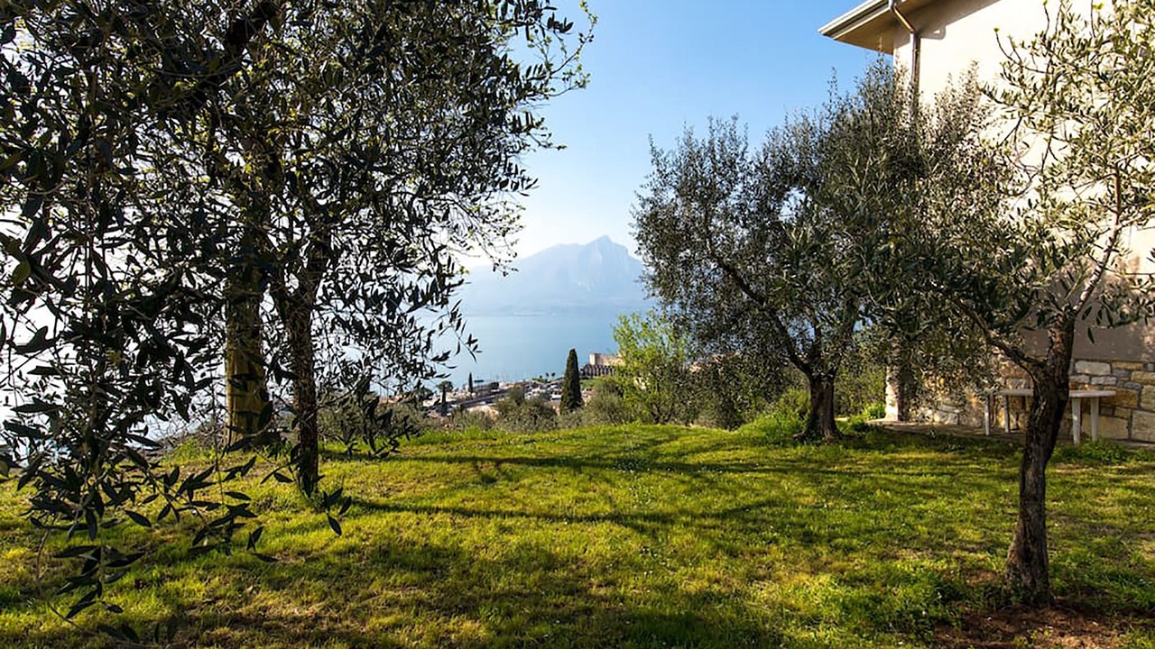 Photo of Others in Torri del Benaco