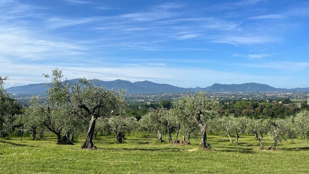 Photo of Outdoor in Capannori