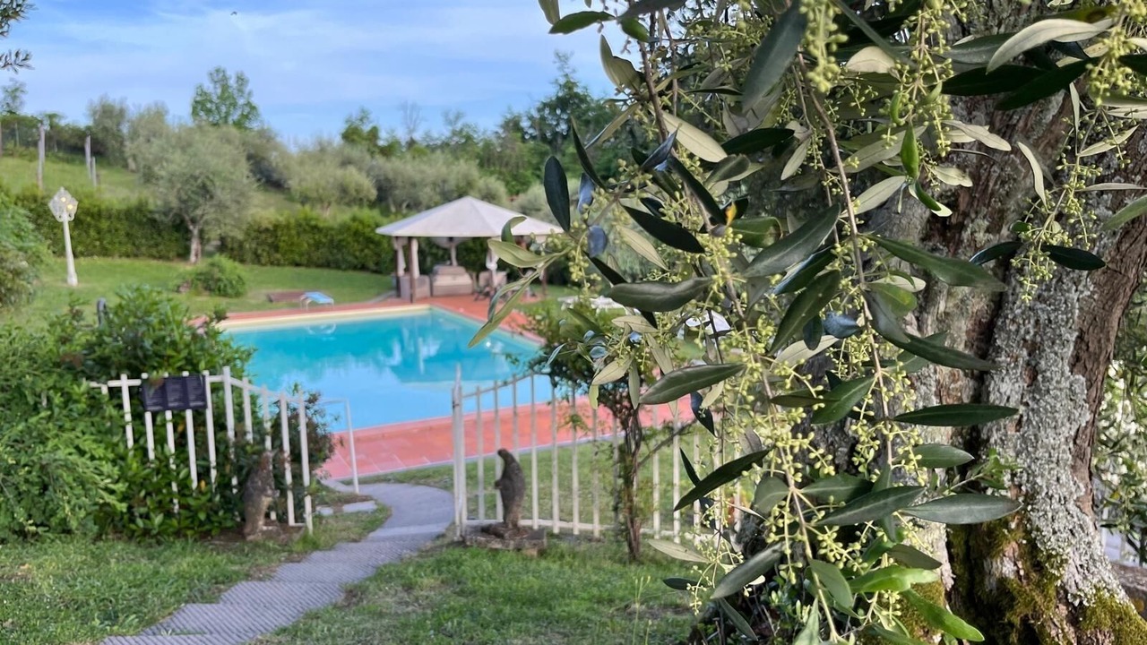 Photo of Outdoor in Capannori