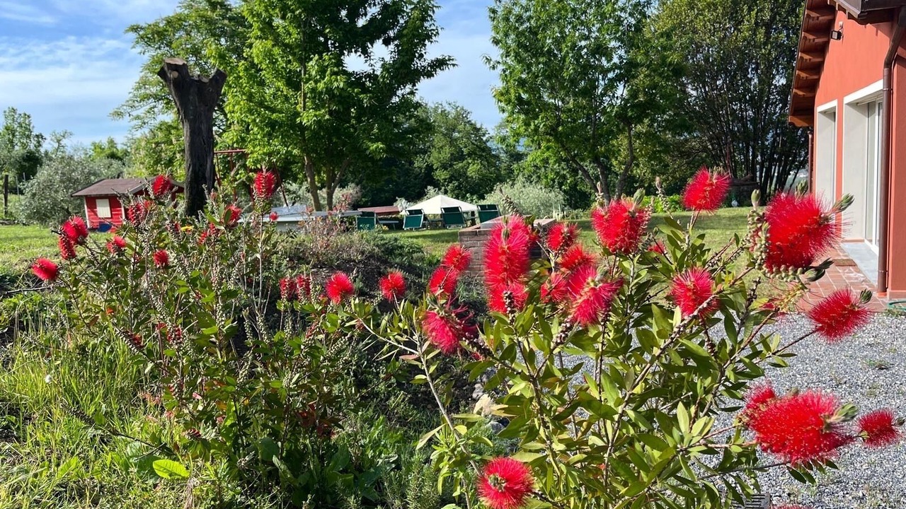 Photo of Outdoor in Capannori