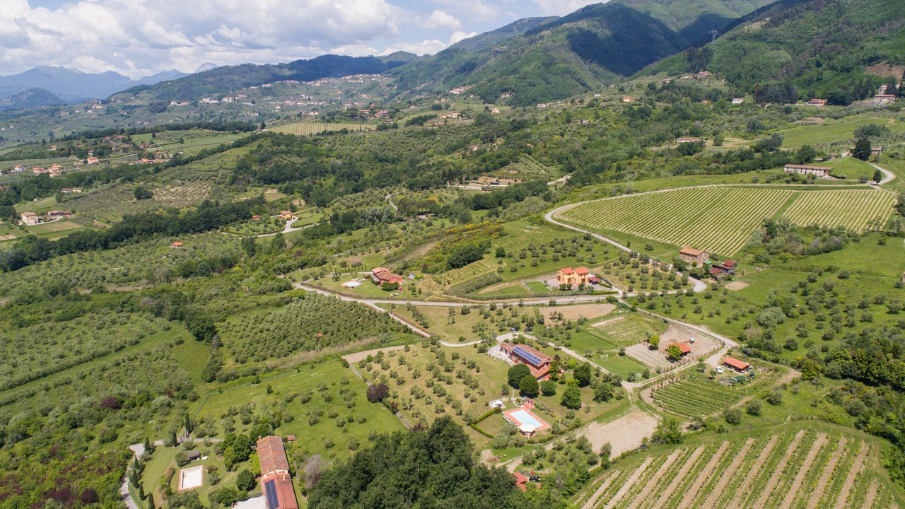 Photo of Outdoor in Capannori