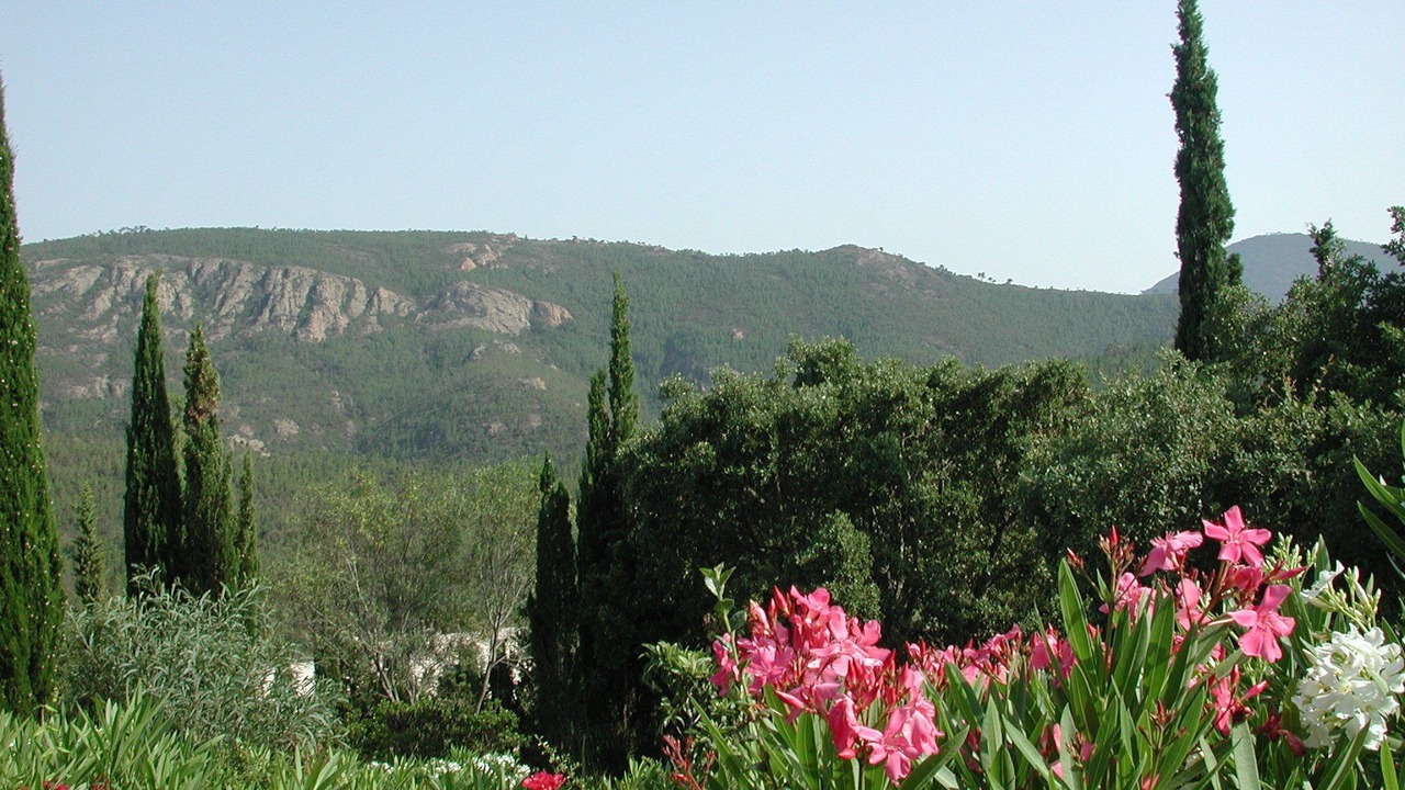 Photo of Outdoor in Mandelieu-La-Napoule
