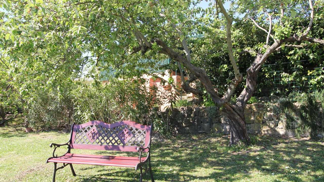 Photo of Outdoor in Bagnols-en-Foret
