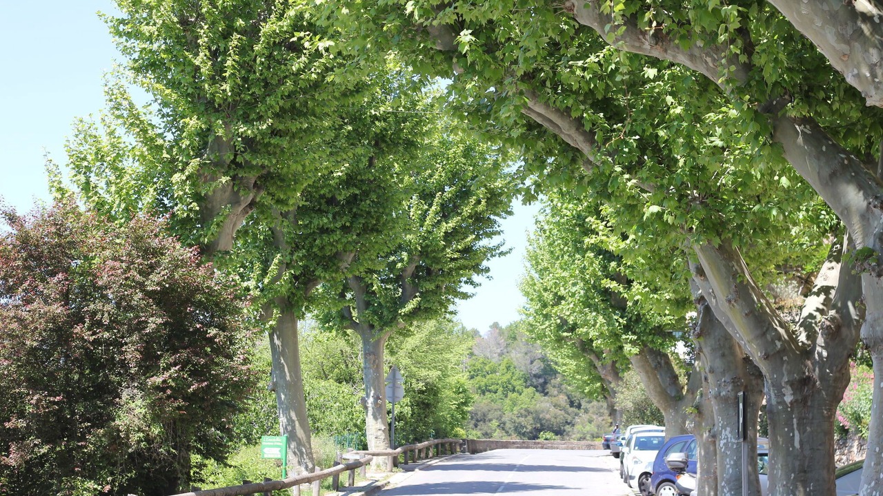 Photo of Others in Bagnols-en-Foret