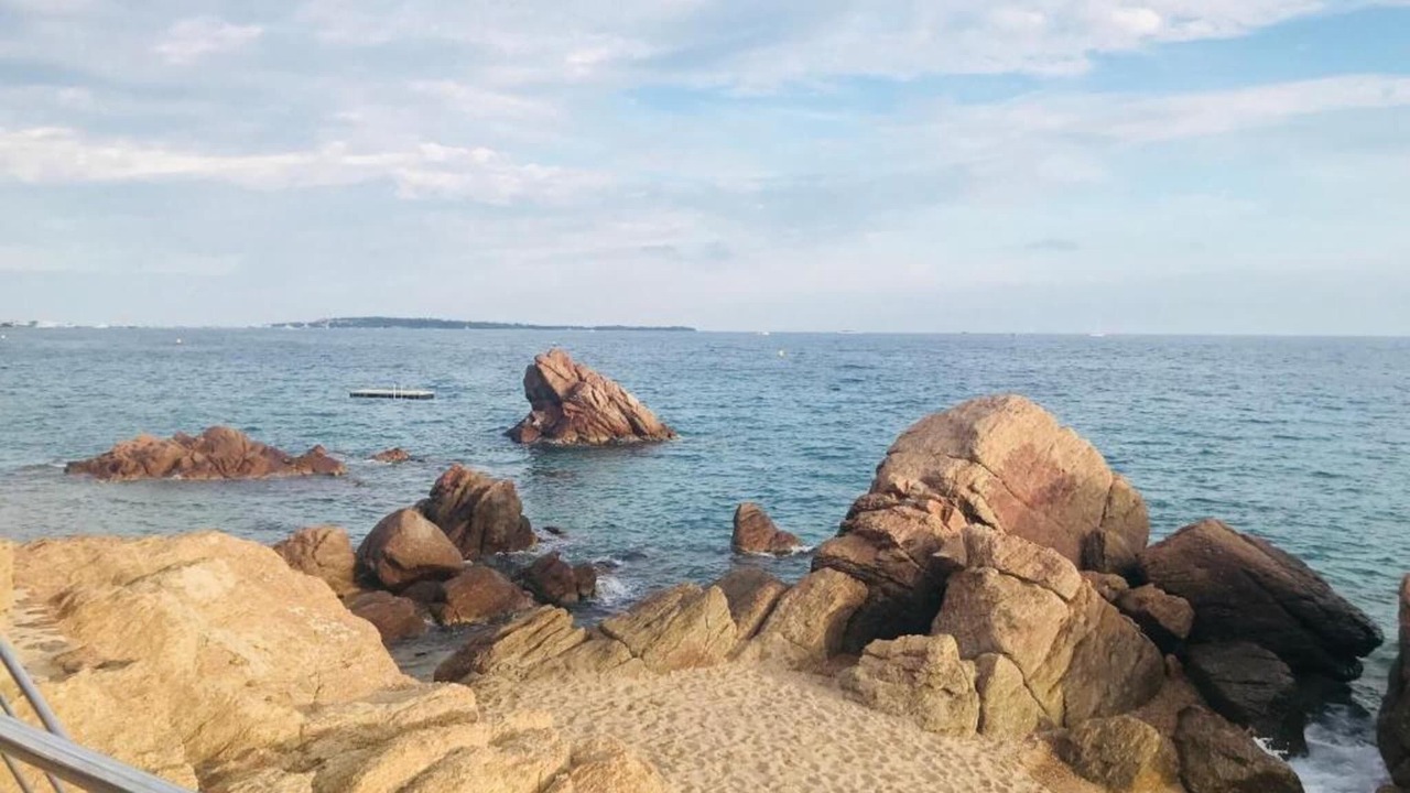 Photo of Others in Cannes La Bocca