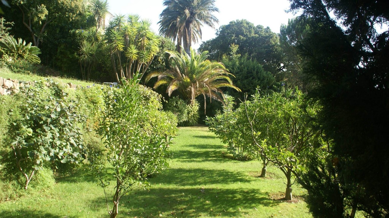 Photo of Outdoor in Cannes La Bocca