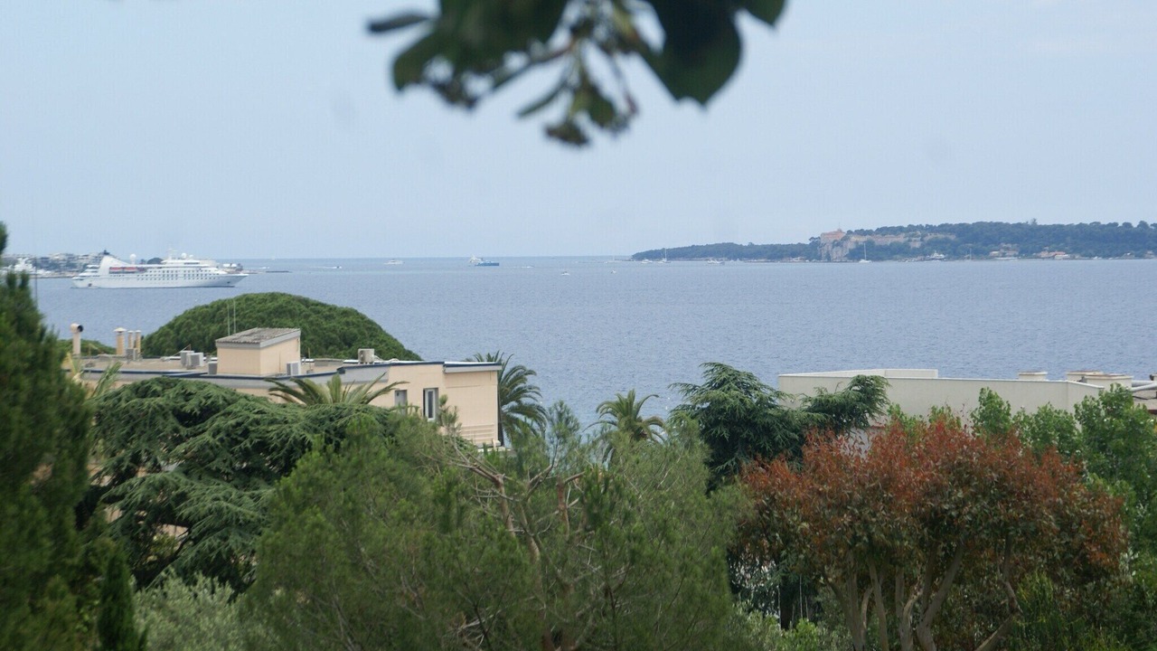 Photo of Others in Cannes La Bocca