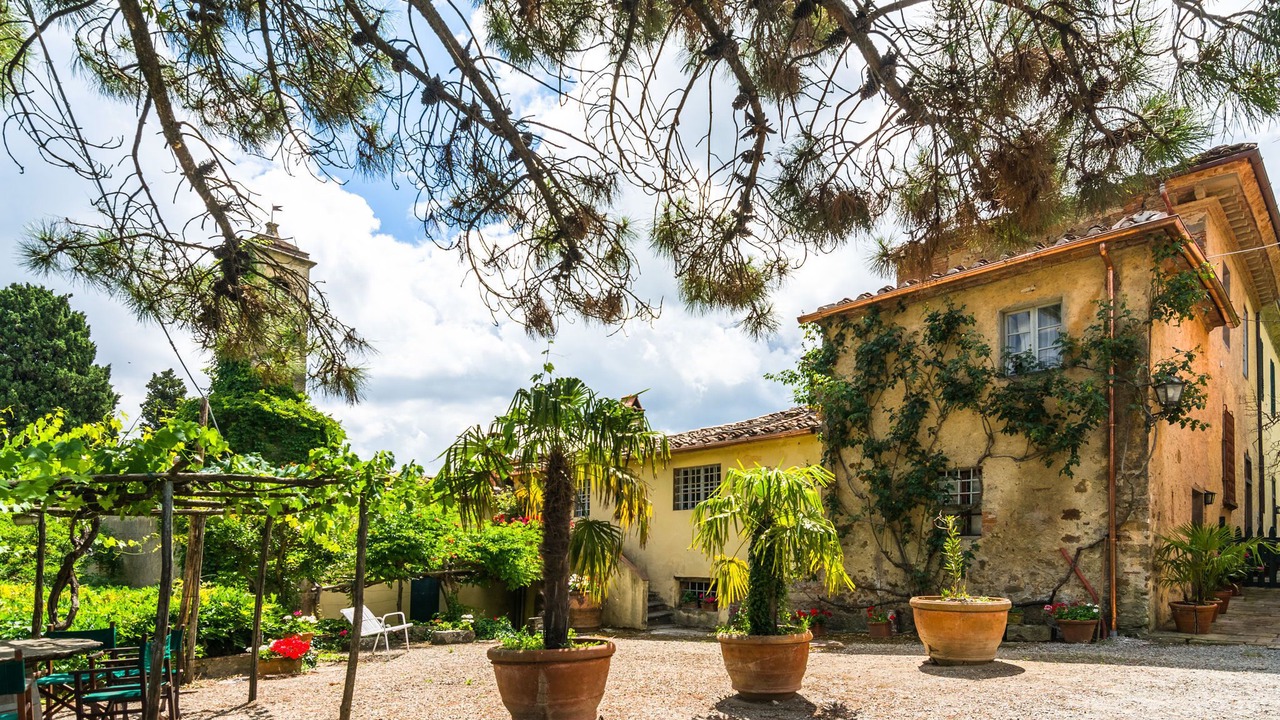 Photo of Outdoor in Bacchereto