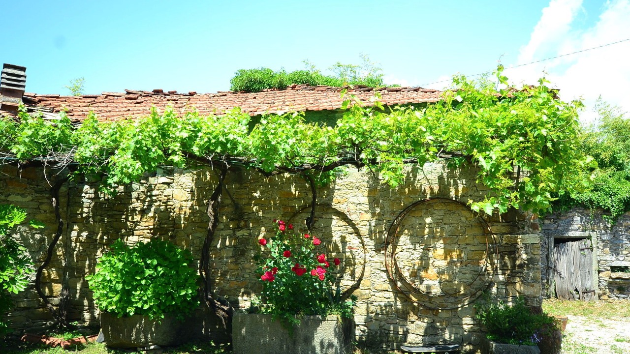 Photo of Outdoor in Gassano
