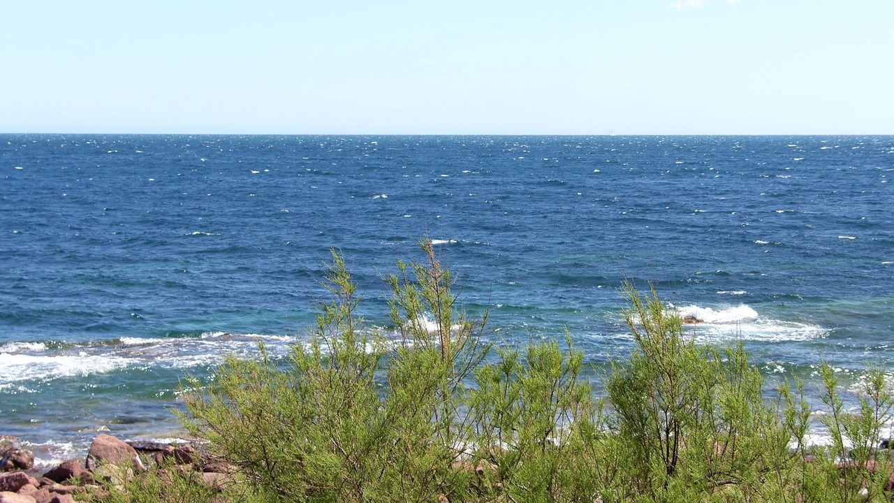 Photo of Others in Boulouris-sur-Mer