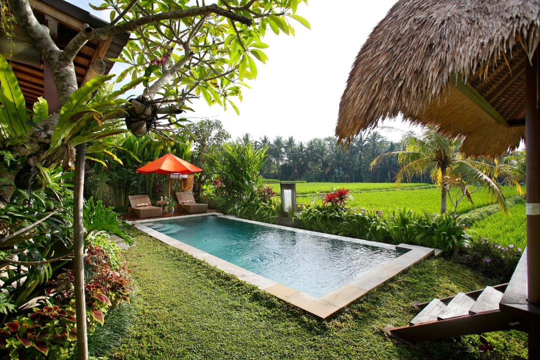 Photo of Others in Ubud