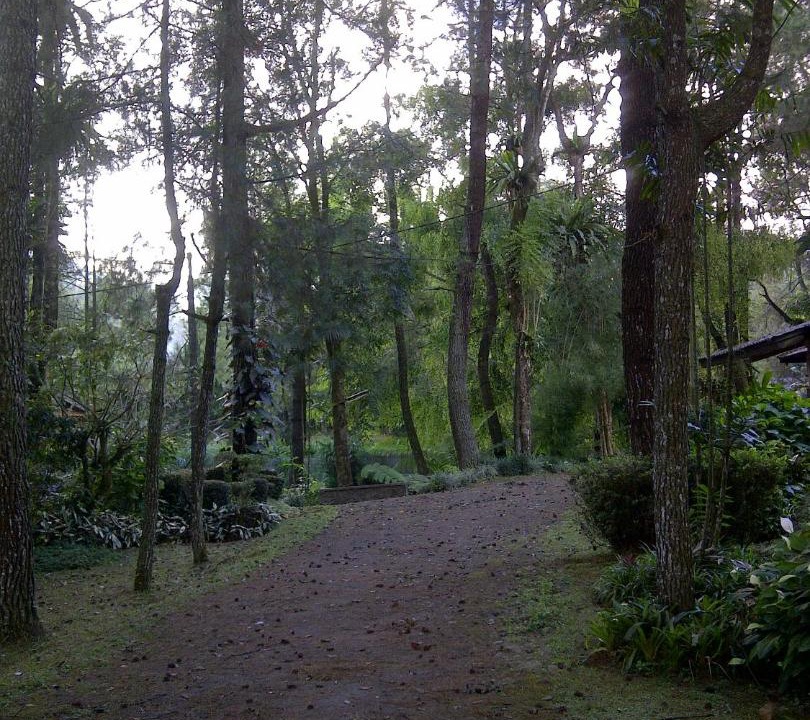 Photo of Others in Ciloto