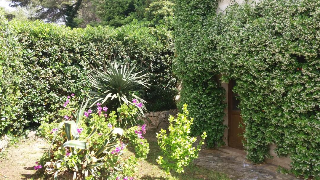 Photo of Outdoor in Saint-Paul-de-Vence