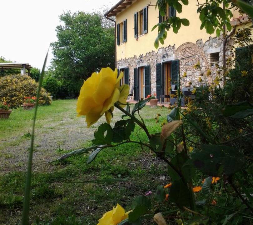 Photo of Others in Pomaia