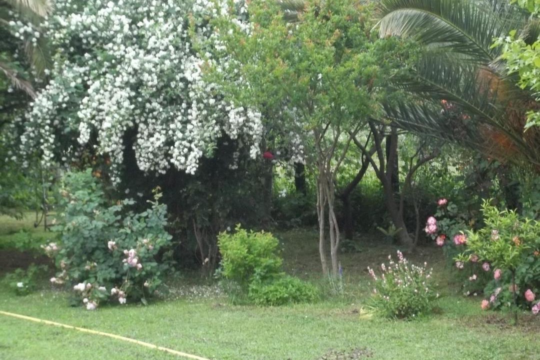 Photo of Others in Massa