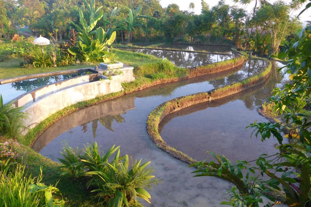 Photo of Outdoor in Sukasada
