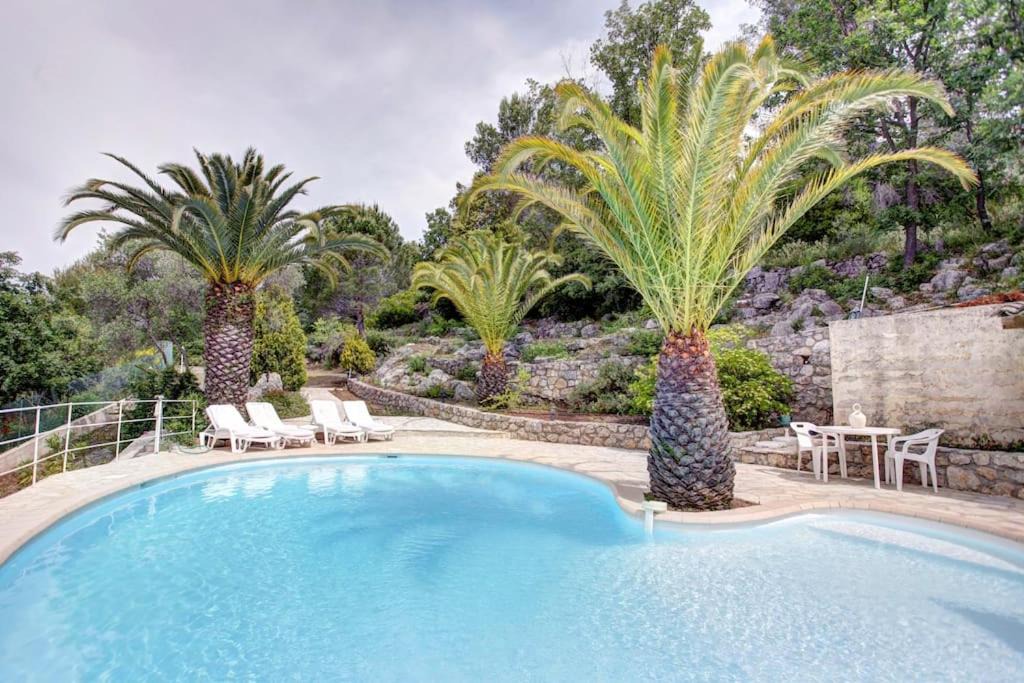 Photo of Outdoor in Roquefort-les-Pins
