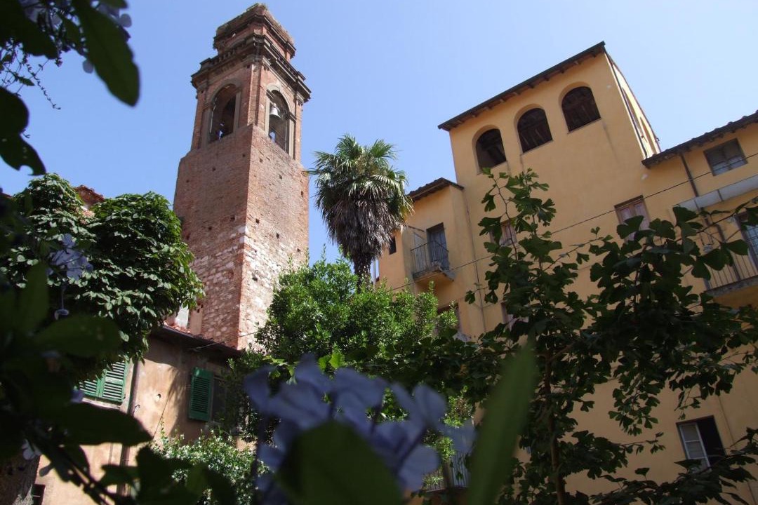 Photo of Others in Pisa City Centre