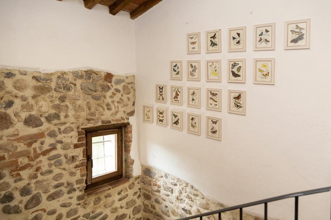Photo of Others in Civitella Paganico