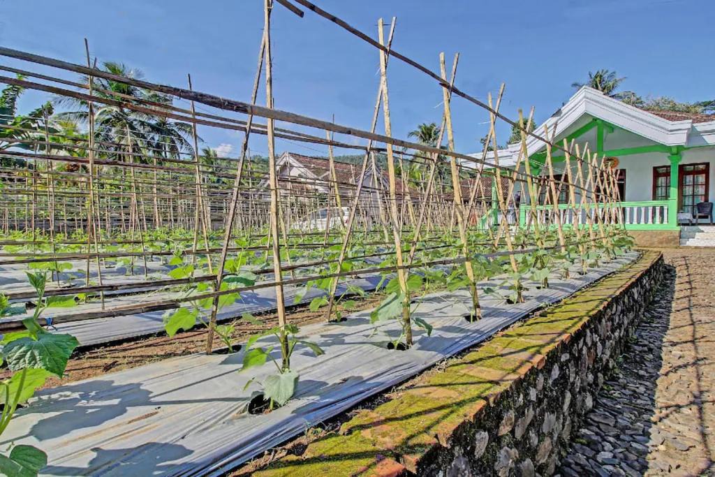 Photo of Others in Trenggalek
