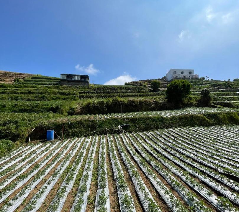Photo of Others in Dieng