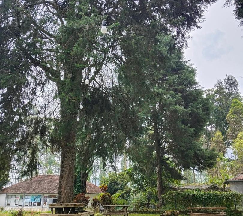 Photo of Outdoor in Pangalengan
